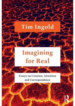Imagining for Real