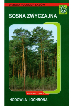 Sosna zwyczajna