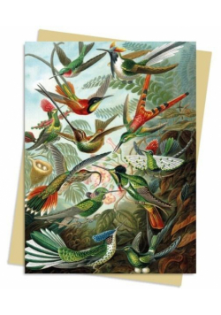 Karnet B6 Kolibry Ernst Haeckel