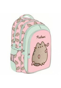 Plecak 4 komorowy Pusheen pink