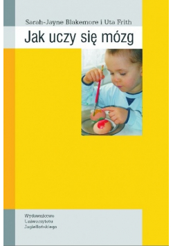 Jak uczy się mózg