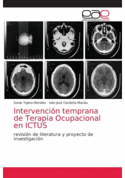 Intervención temprana de Terapia Ocupacional en ICTUS