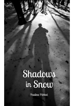 Shadows in Snow