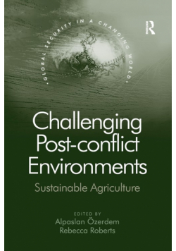 Challenging Post-conflict Environments