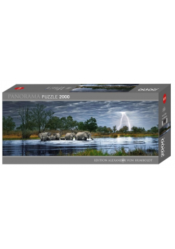 Puzzle 2000 Afryka, Stado słoni (panorama)