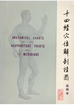 Anatomical charts of the acupuncture points and 14 meridians
