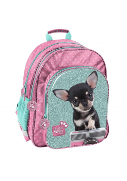 Plecak szkolny Studio Pets PTE-090 PASO