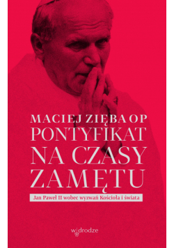 Pontyfikat na czasy zamętu. Jan Paweł II wobec wyzwań Kościoła i świata