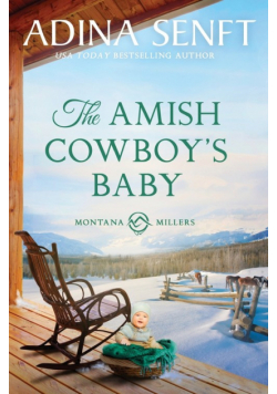 The Amish Cowboy's Baby
