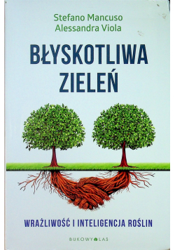 Błyskotliwa zieleń