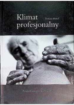 Klimat profesjonalny