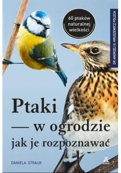 Ptaki w ogrodzie jak je rozpoznawać