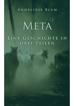 Meta