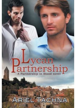 Lycan Partnership