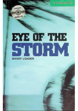 Eye of the storm