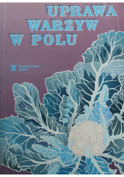 Uprawa Warzyw w Polu