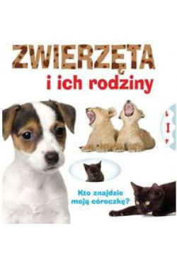 Zwierzęta i ich rodziny