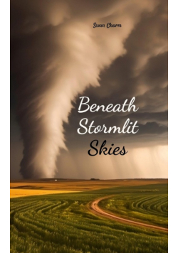 Beneath Stormlit Skies