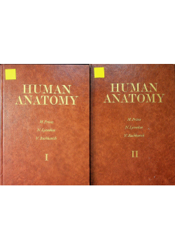 Human anatomy Tom I i II