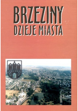 Brzeziny dzieje miasta