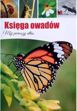 Księga owadów Mój pierwszy atlas