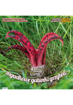Kalendarz 2022 KAD-6 Grzybiarza z poradami AVANTI