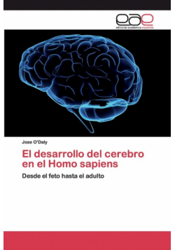 El desarrollo del cerebro en el Homo sapiens