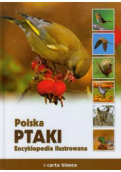 Polska Ptaki Encyklopedia ilustrowana