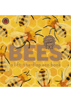 Bees A lift-the-flap eco book