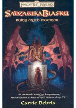 Sadzawka blasku : Ruiny mych Drannor