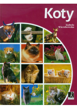 Koty