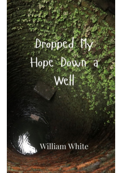 Dropped My Hope Down a Well