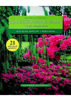 Azalie różaneczniki wrzosy i inne wrzosowate