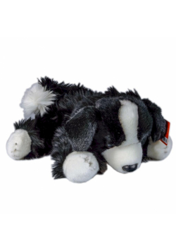Pies Border Collie 30cm