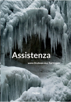 Assistenza