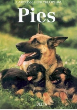 Encyklopedia Pies