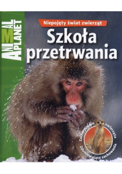 Niepojęty świat zwierząt Szkoła przetrwania