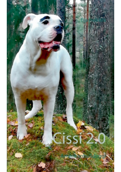 Cissi 2.0