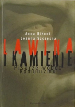 Lawina i kamienie
