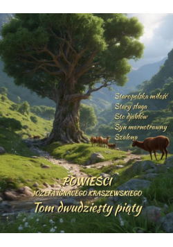 Powieści Józefa Ignacego Kraszewskiego. Tom 25