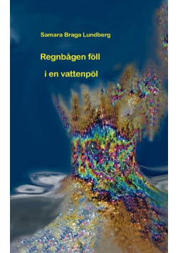 Regnbågen föll i en vattenpöl